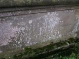image of grave number 89529